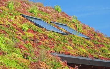 Woofferton living roof systems